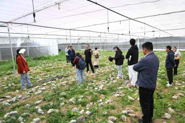 香职动态 | 迪庆开放学院开展2025年“双提升”行动春季学期面授工作(图5) 迪庆开放学院开展2025年“双提升”行动春季学期面授工作(图4)