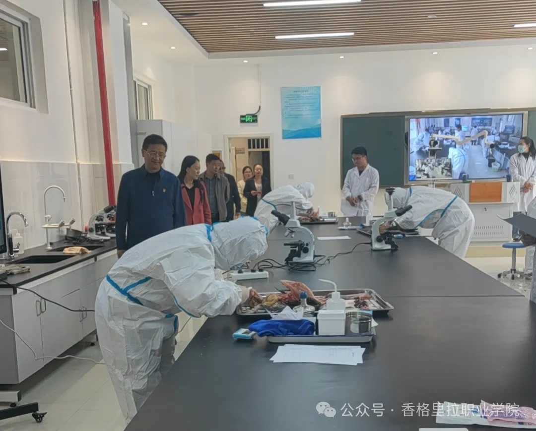 2024年职教活动周第一届学生职业技能比赛开幕(图6)